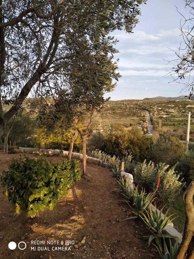 Monolocale Belvedere Su Porto Rotondo Cugnana Bagian luar foto