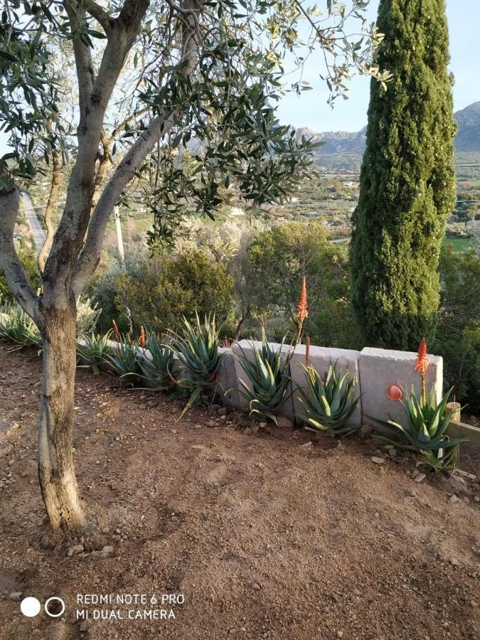 Monolocale Belvedere Su Porto Rotondo Cugnana Bagian luar foto